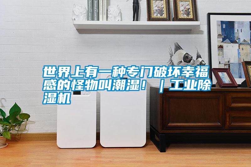 世界上有一種專門破壞幸福感的怪物叫潮濕?。I除濕機