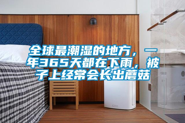 全球最潮濕的地方，一年365天都在下雨，被子上經常會長出蘑菇