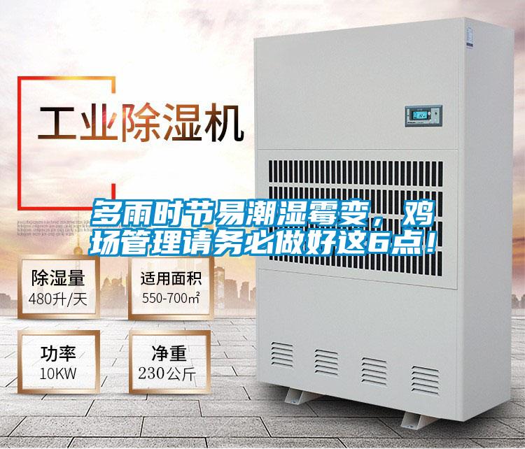 多雨時節易潮濕霉變，雞場管理請務必做好這6點！