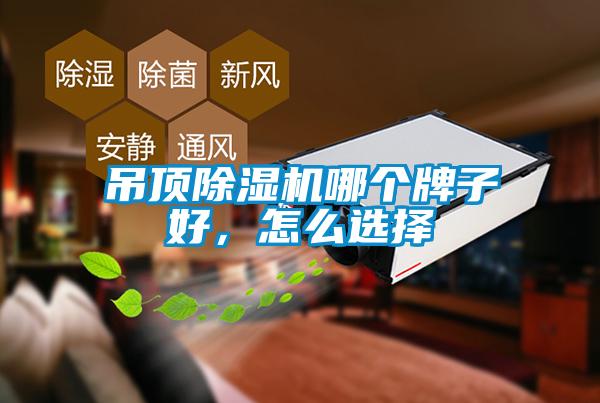 吊頂除濕機哪個牌子好,怎么選擇