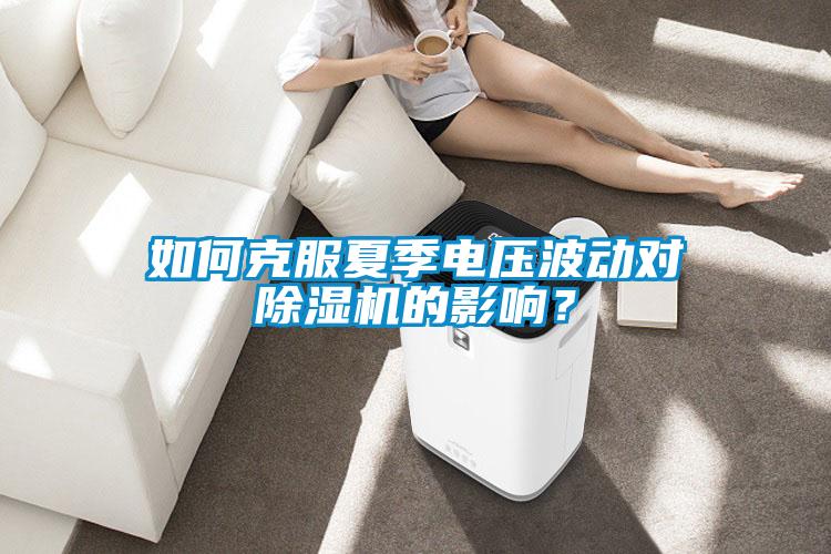如何克服夏季電壓波動對除濕機的影響？