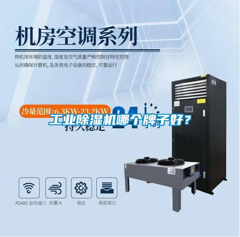 工業除濕機哪個牌子好？