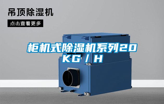 柜機式除濕機系列20KG/H
