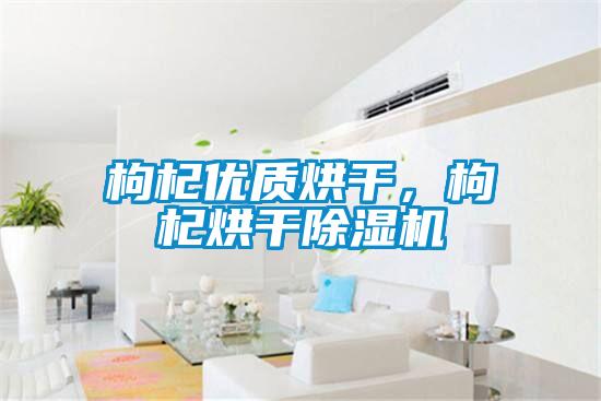 枸杞優質烘干,枸杞烘干除濕機