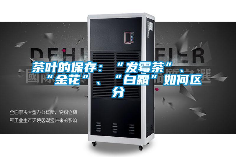 茶葉的保存：“發(fā)霉茶”、“金花”、“白霜”如何區(qū)分