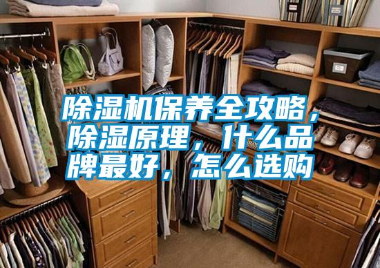 除濕機(jī)保養(yǎng)全攻略,除濕原理,什么品牌最好,怎么選購(gòu)