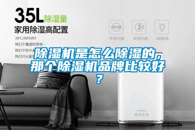 除濕機是怎么除濕的,那個除濕機品牌比較好?