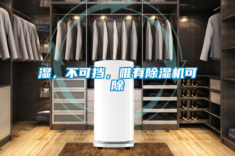 濕，不可擋，唯有除濕機可除