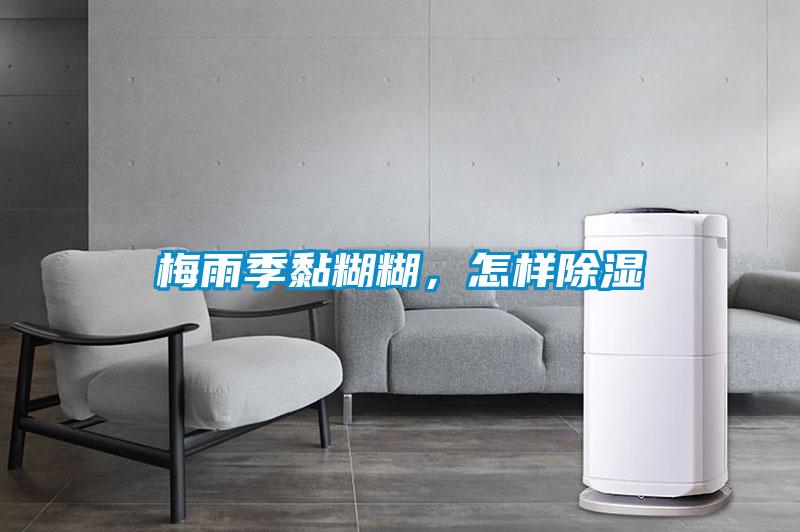 梅雨季黏糊糊，怎樣除濕