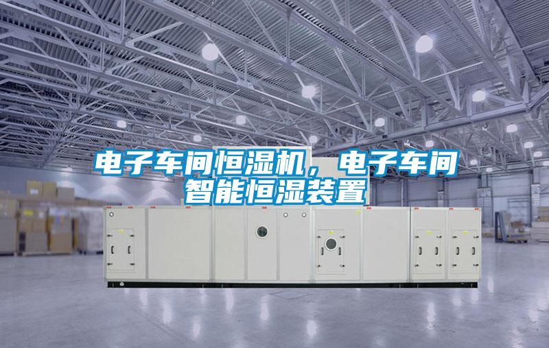 電子車間恒濕機,電子車間智能恒濕裝置