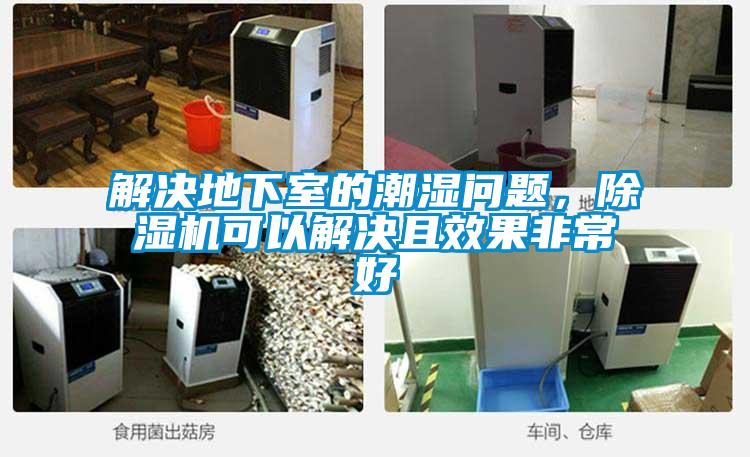 解決地下室的潮濕問題，除濕機可以解決且效果非常好