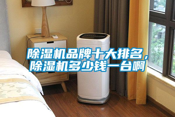 除濕機(jī)品牌十大排名,除濕機(jī)多少錢(qián)一臺(tái)啊