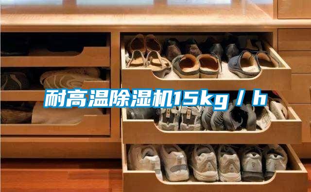 耐高溫除濕機(jī)15kg/h