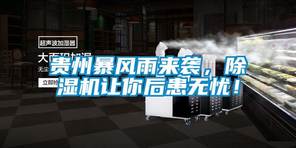 貴州暴風雨來襲,除濕機讓你后患無憂!