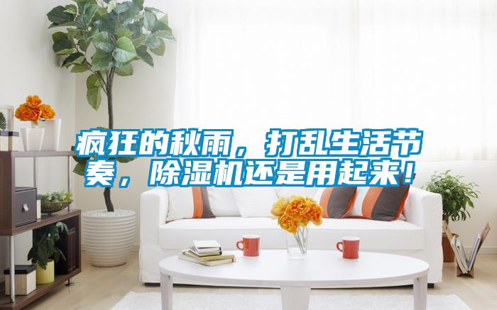 瘋狂的秋雨,打亂生活節(jié)奏,除濕機還是用起來!