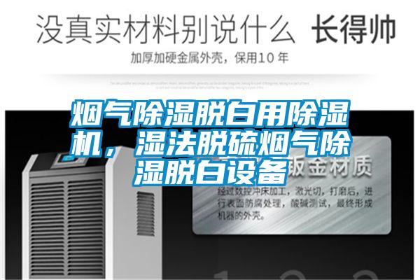 煙氣除濕脫白用除濕機(jī),濕法脫硫煙氣除濕脫白設(shè)備