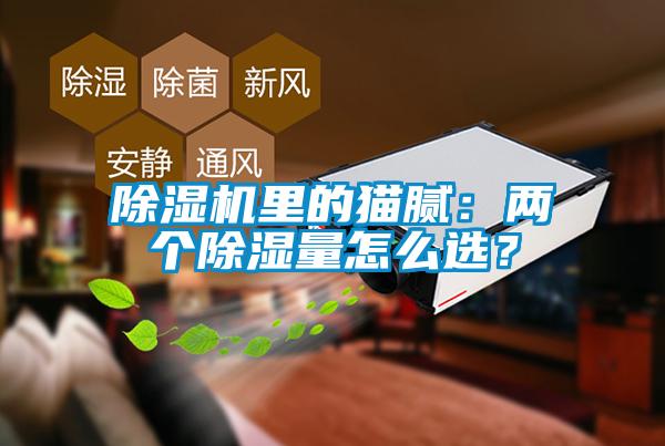 除濕機里的貓膩：兩個除濕量怎么選？
