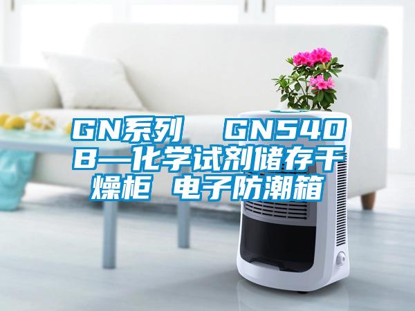 GN系列 GN540B—化學(xué)試劑儲存干燥柜 電子防潮箱
