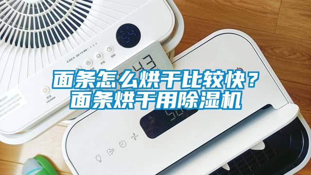 面條怎么烘干比較快?面條烘干用除濕機