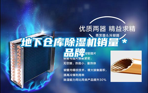 地下倉庫除濕機(jī)銷量*品牌