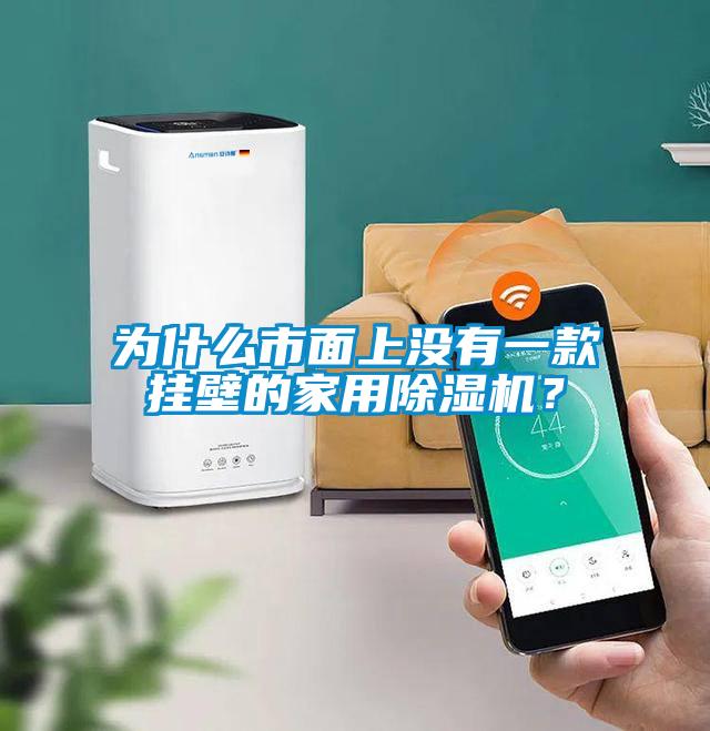 為什么市面上沒有一款掛壁的家用除濕機?