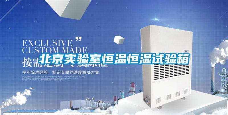 北京實驗室恒溫恒濕試驗箱