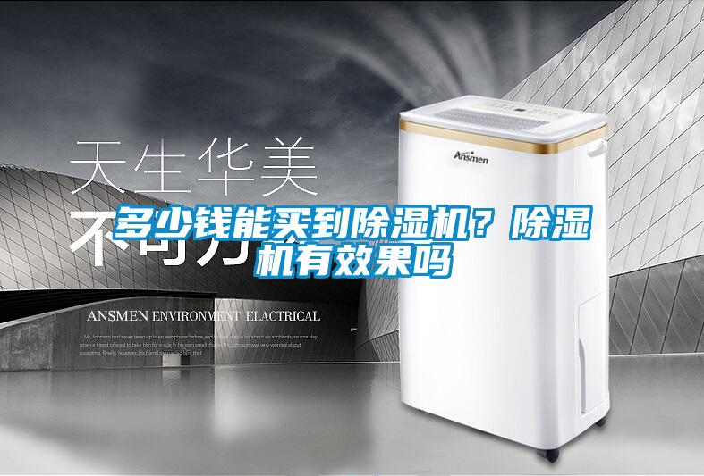 多少錢能買到除濕機(jī)？除濕機(jī)有效果嗎