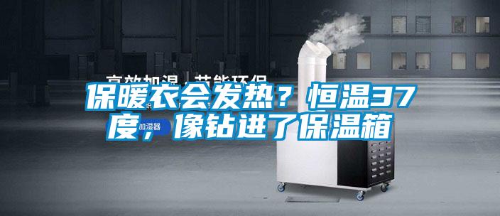 保暖衣會發熱?恒溫37度,像鉆進了保溫箱