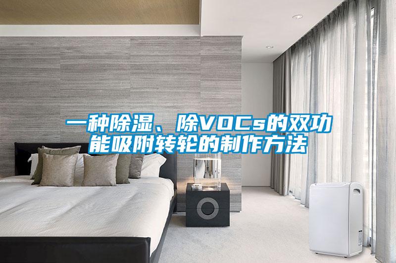 一種除濕、除VOCs的雙功能吸附轉輪的制作方法