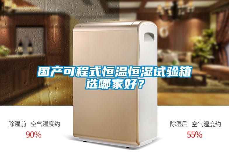 國(guó)產(chǎn)可程式恒溫恒濕試驗(yàn)箱選哪家好?