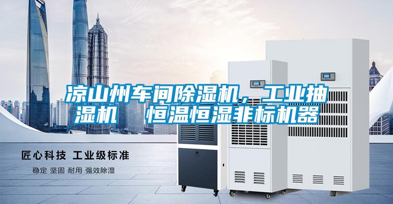 涼山州車間除濕機，工業(yè)抽濕機  恒溫恒濕非標(biāo)機器