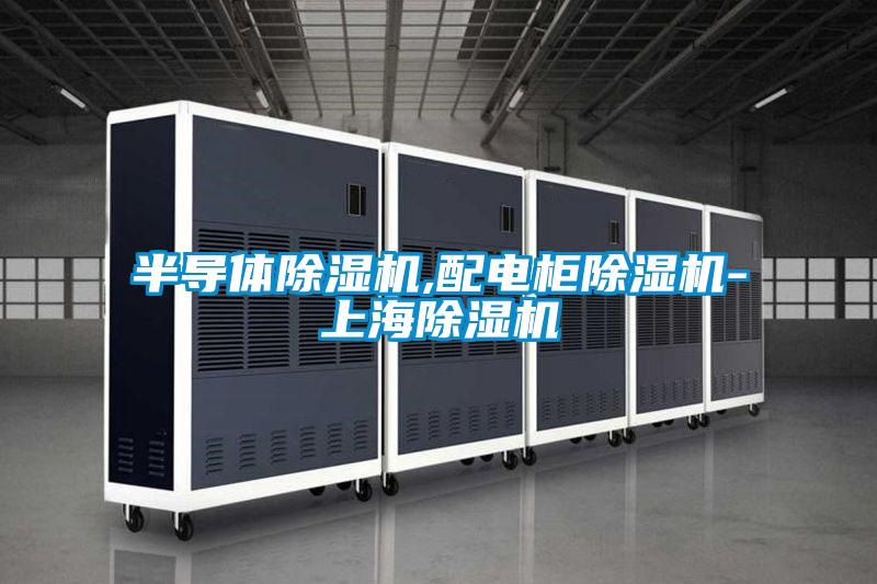 半導(dǎo)體除濕機,配電柜除濕機-上海除濕機