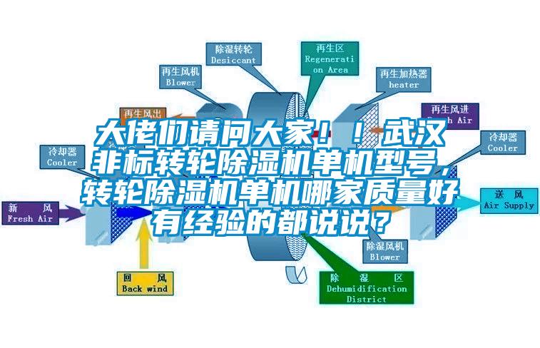 大佬們請問大家??！武漢非標轉輪除濕機單機型號，轉輪除濕機單機哪家質量好有經驗的都說說？
