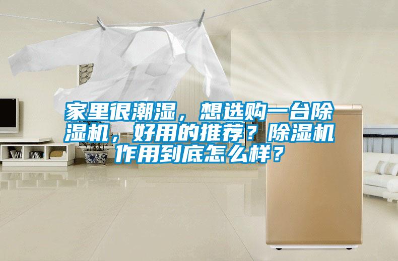 家里很潮濕,想選購一臺(tái)除濕機(jī),好用的推薦?除濕機(jī)作用到底怎么樣?