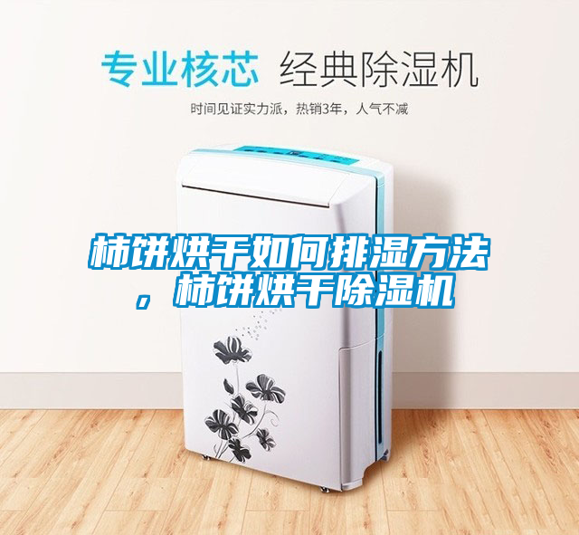 柿餅烘干如何排濕方法，柿餅烘干除濕機