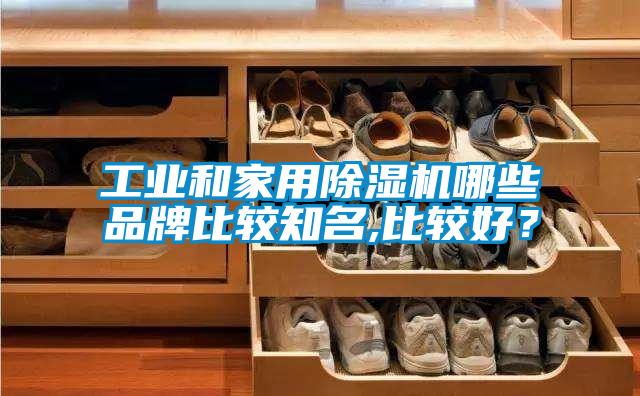 工業和家用除濕機哪些品牌比較知名,比較好？