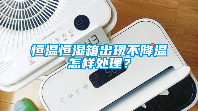 恒溫恒濕箱出現(xiàn)不降溫怎樣處理?