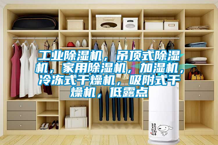 工業除濕機，吊頂式除濕機，家用除濕機，加濕機，冷凍式干燥機，吸附式干燥機，低露點