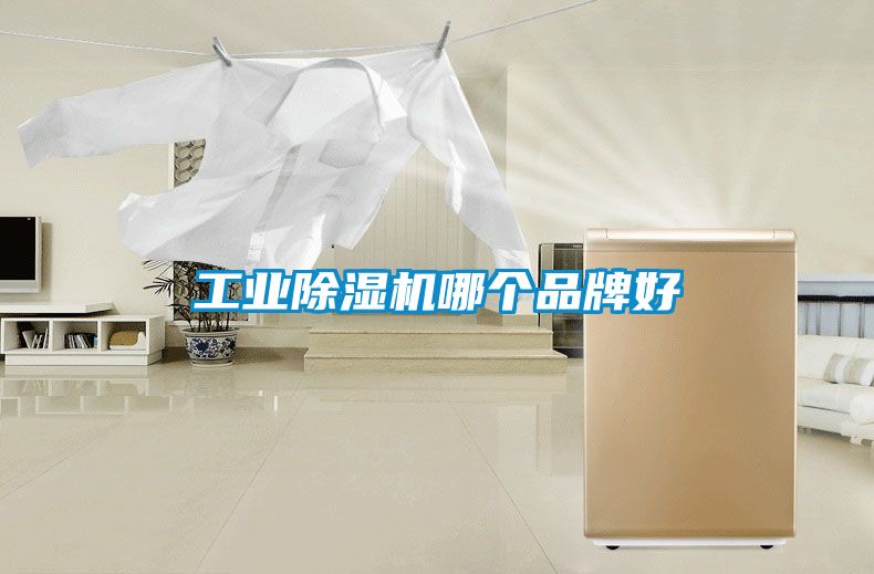 工業除濕機哪個品牌好