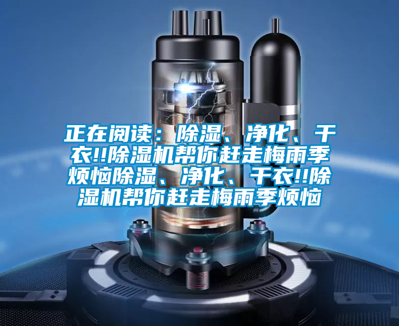 正在閱讀:除濕、凈化、干衣!!除濕機幫你趕走梅雨季煩惱除濕、凈化、干衣!!除濕機幫你趕走梅雨季煩惱