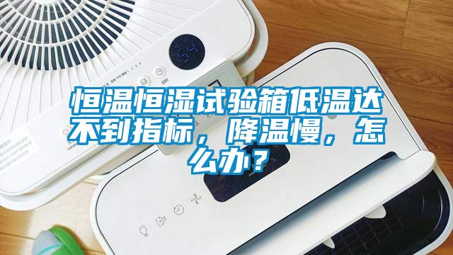 恒溫恒濕試驗箱低溫達不到指標,降溫慢,怎么辦?