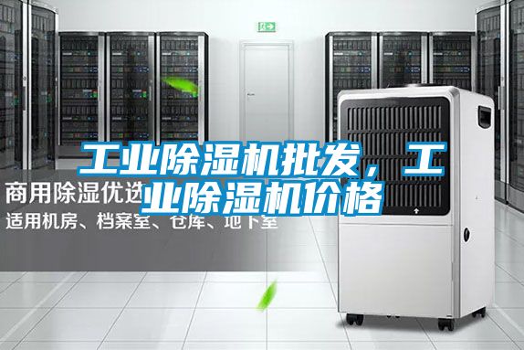 工業(yè)除濕機(jī)批發(fā)，工業(yè)除濕機(jī)價格