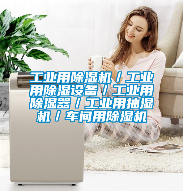 工業用除濕機/工業用除濕設備/工業用除濕器/工業用抽濕機/車間用除濕機