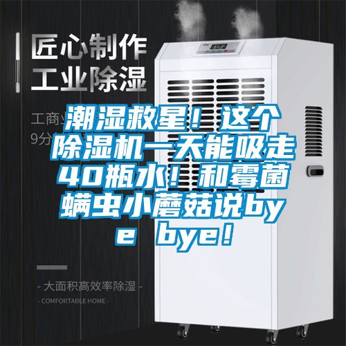 潮濕救星！這個除濕機一天能吸走40瓶水！和霉菌螨蟲小蘑菇說bye bye！