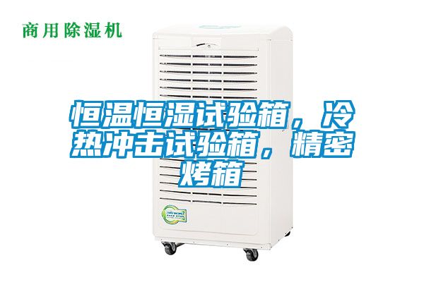 恒溫恒濕試驗箱,冷熱沖擊試驗箱,精密烤箱