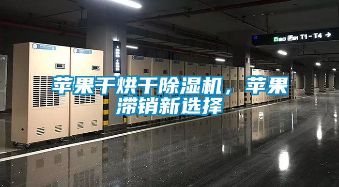 蘋果干烘干除濕機,蘋果滯銷新選擇