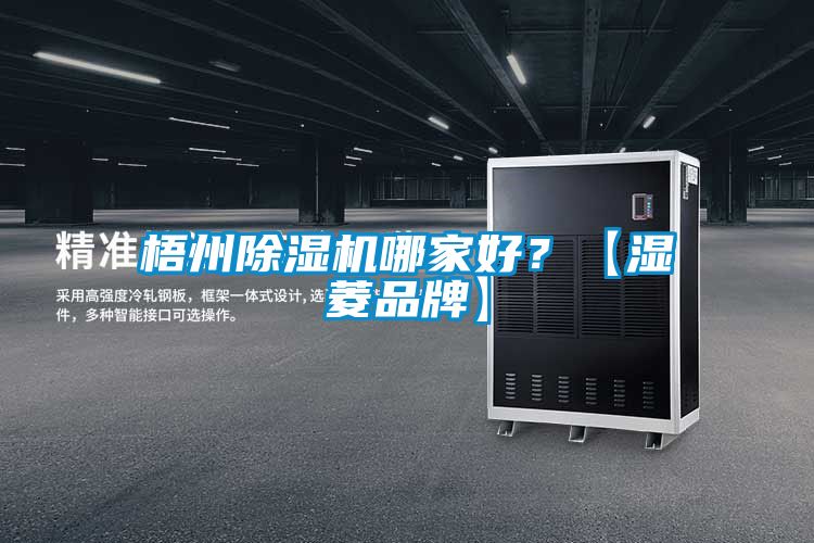 梧州除濕機哪家好?【濕菱品牌】