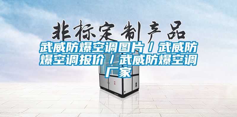 武威防爆空調(diào)圖片/武威防爆空調(diào)報價/武威防爆空調(diào)廠家