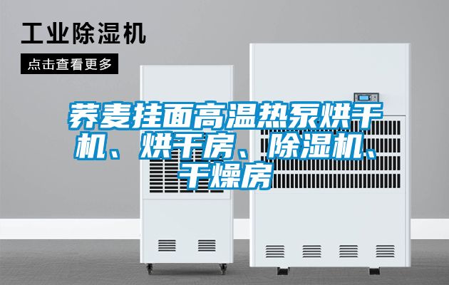 蕎麥掛面高溫熱泵烘干機、烘干房、除濕機、干燥房