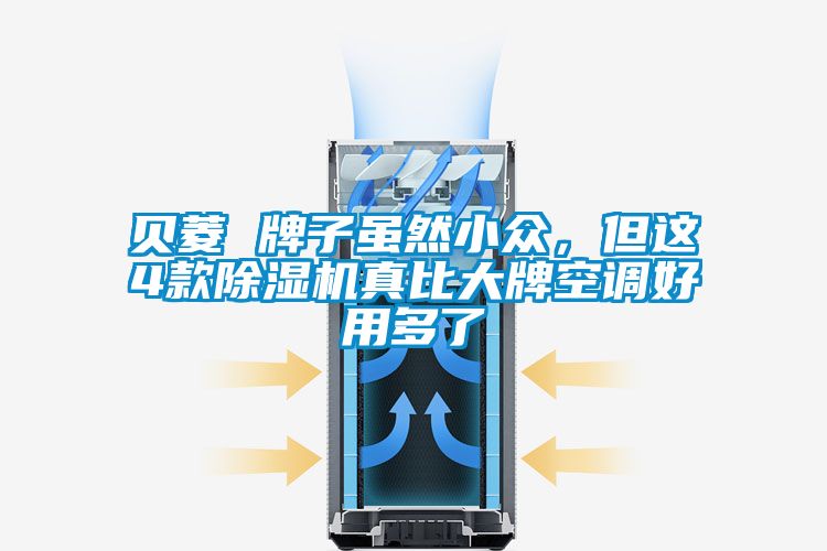 貝菱 牌子雖然小眾,但這4款除濕機真比大牌空調(diào)好用多了